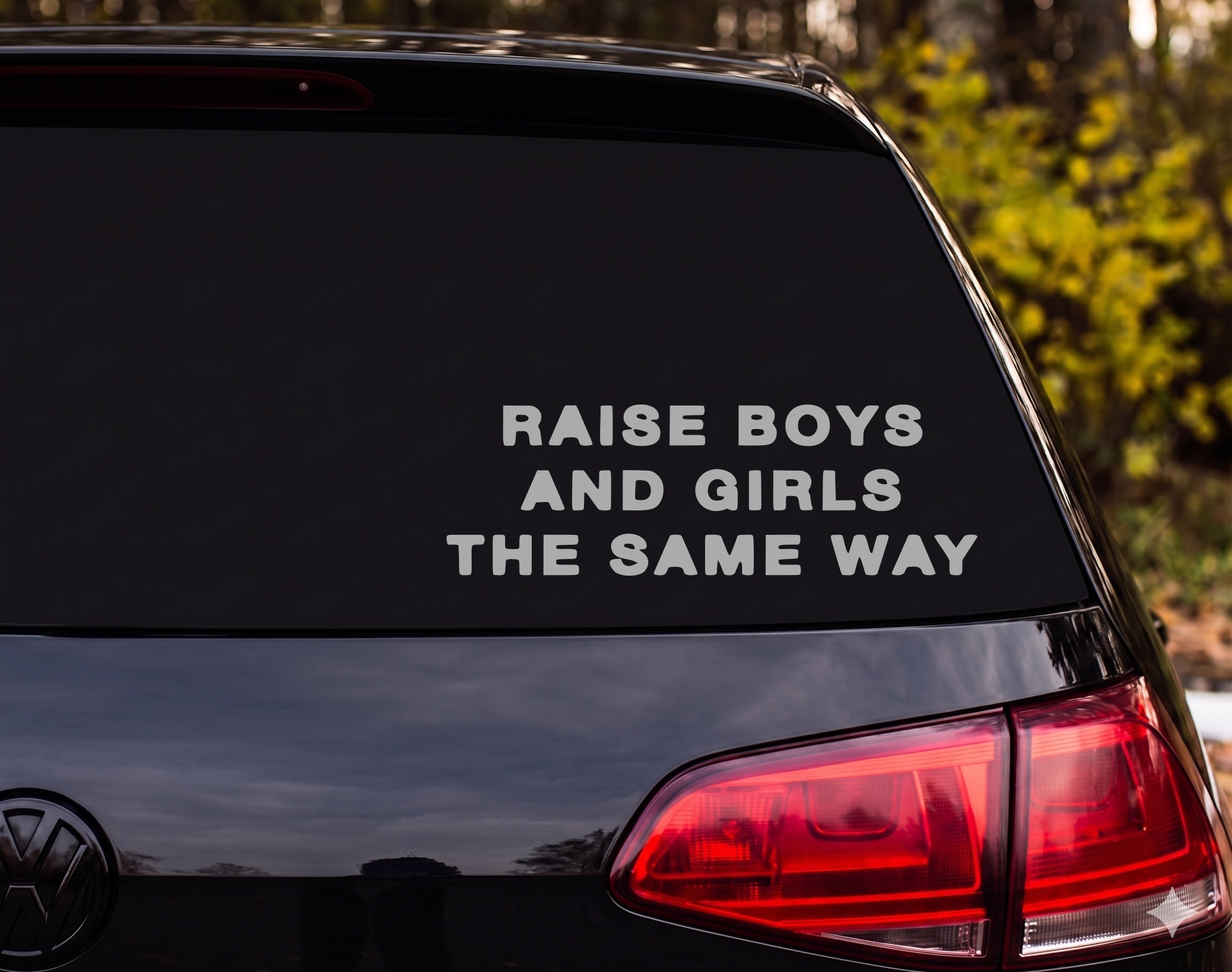 RAISE BOYS AND GIRLS THE SAME WAY Vinyl Decal Sticker Car Window Laptop - Silver