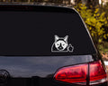 Grumpy Cat Peering Over Edge Middle Finger Cartoon Vinyl Decal Sticker - White
