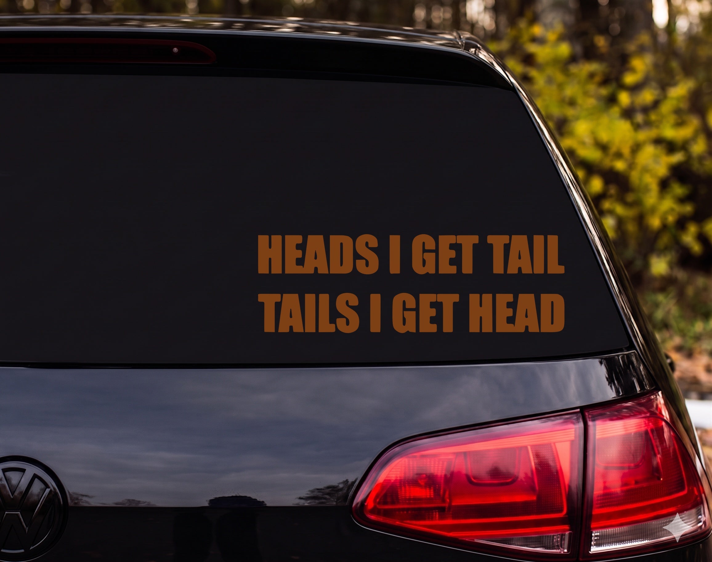 HEADS I GET TAIL TAILS I GET HEAD Funny Adult Vinyl Decal Sticker - Brown