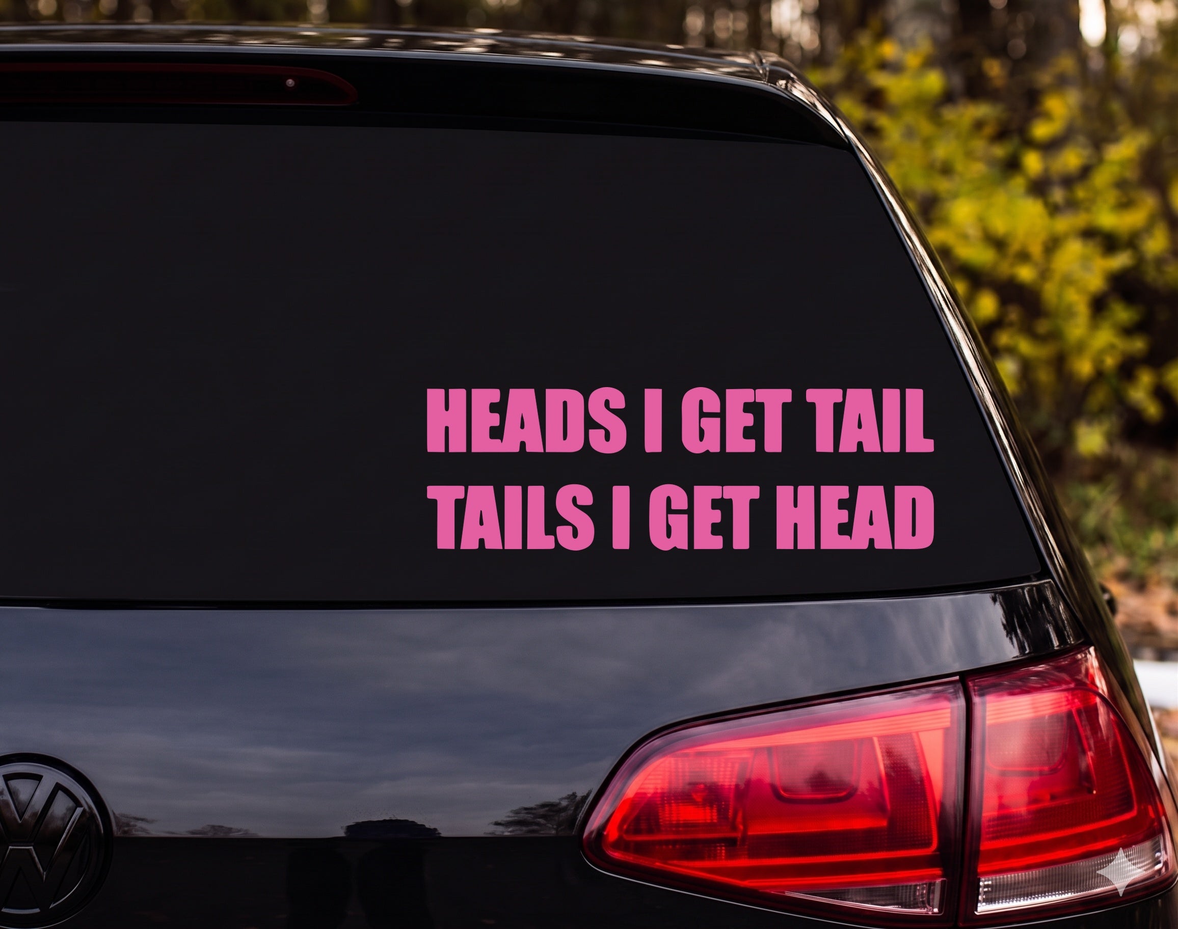 HEADS I GET TAIL TAILS I GET HEAD Funny Adult Vinyl Decal Sticker - Pink
